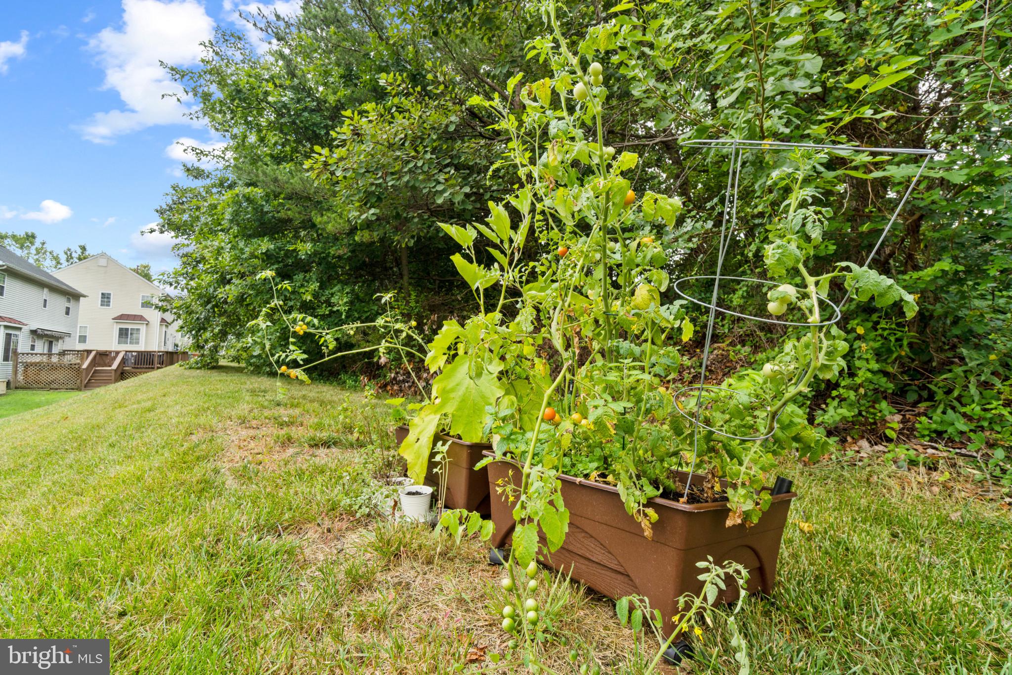 WILLOW HILL - Residential