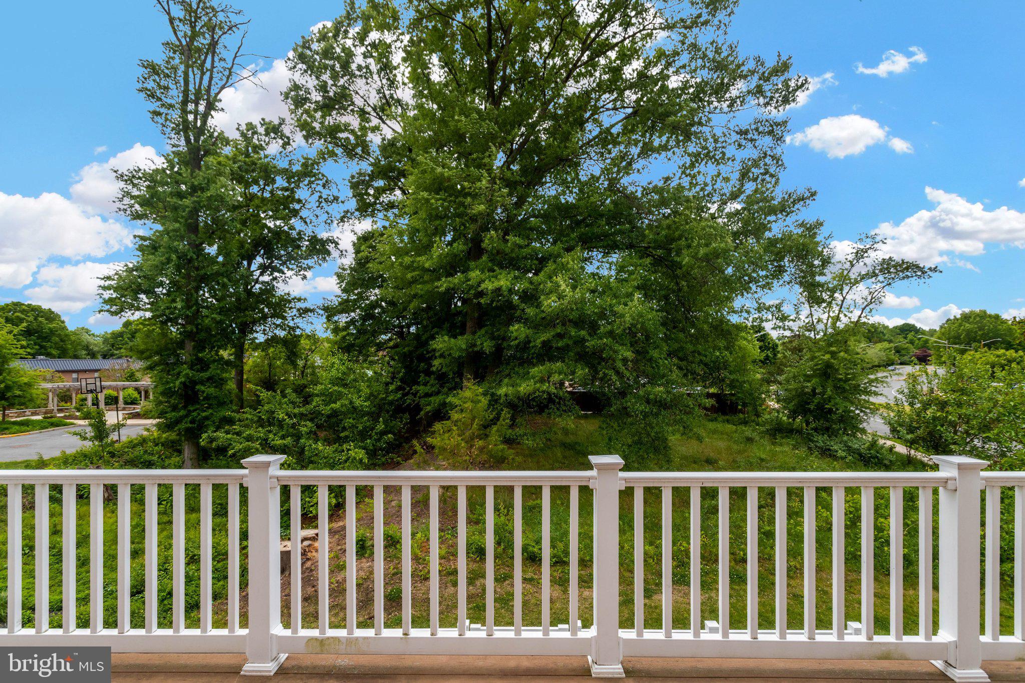 POTOMAC TERRACE - Residential
