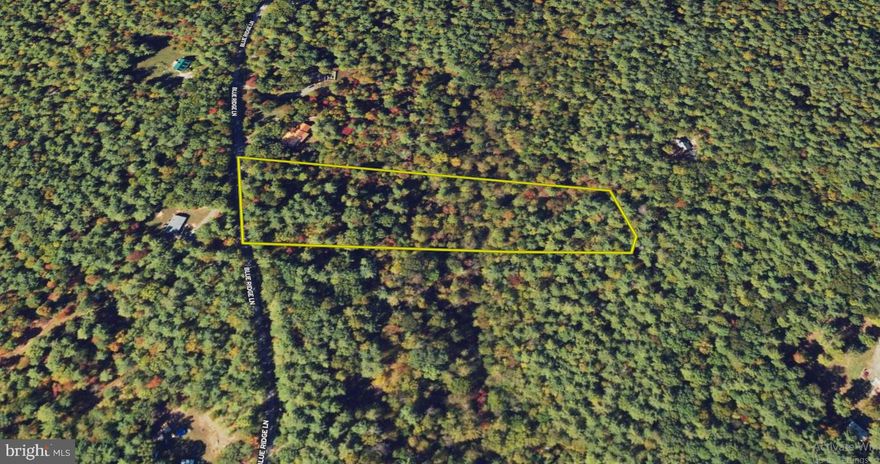 DON'T MISS THIS AMAZING 5-ACRE PROPERTY IN OTTER CREEK, AMHERST COUNTY, VA! BUILD YOUR DREAM HOME OR BRING YOUR MOBILE/MANUFACTURED HOME! This beautiful lot offers 279+ FEET OF ROAD FRONTAGE on Blue Ridge Ln, a quiet gravel road with EASY ACCESS TO US HWY 501—giving you the perfect mix of PRIVACY & CONVENIENCE! ENJOY NATURE & SCENIC BEAUTY! Just minutes from OTTER LAKE WATERFALLS, HOUSE MOUNTAIN OVERLOOK, & MONUMENT TERRACE! Plus, you’re close to CHARMING AMHERST for small-town vibes and LYNCHBURG for all the big-city conveniences! SELLER IS HIGHLY MOTIVATED & OFFERING FLEXIBLE SELLER FINANCING! Whether you’re looking to BUILD NOW OR CAMP/RV WHILE YOU PLAN, this lot gives you endless possibilities! DON’T WAIT! CALL TODAY FOR MORE DETAILS!