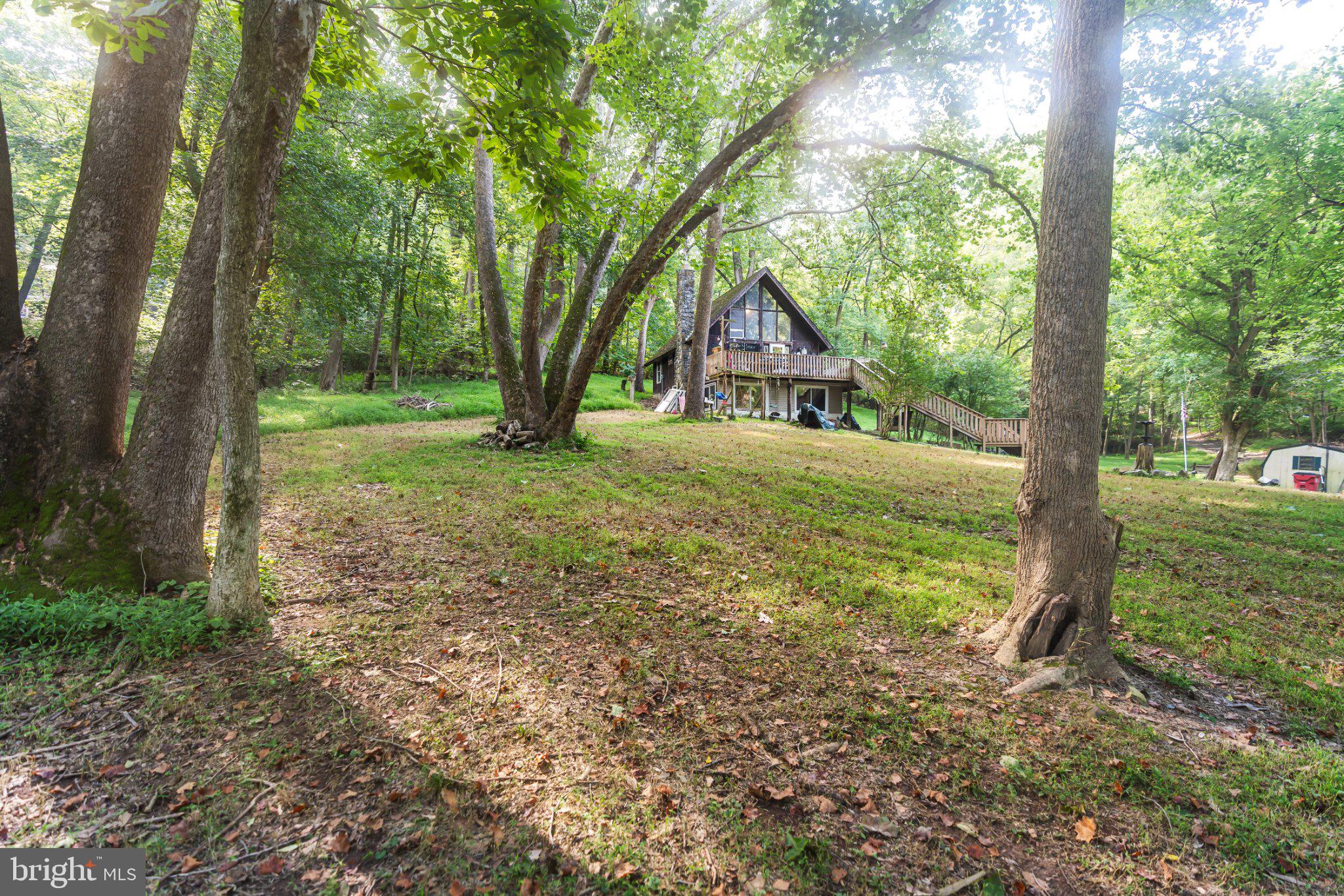 6036 CANTER LANE