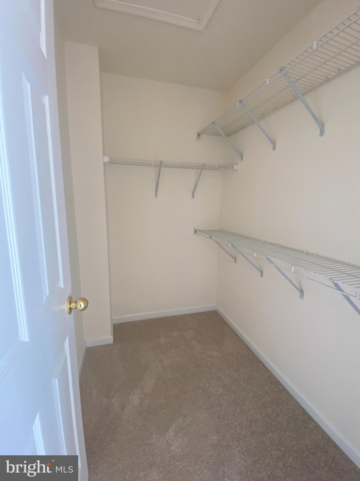 IDLEWILD - Residential Lease