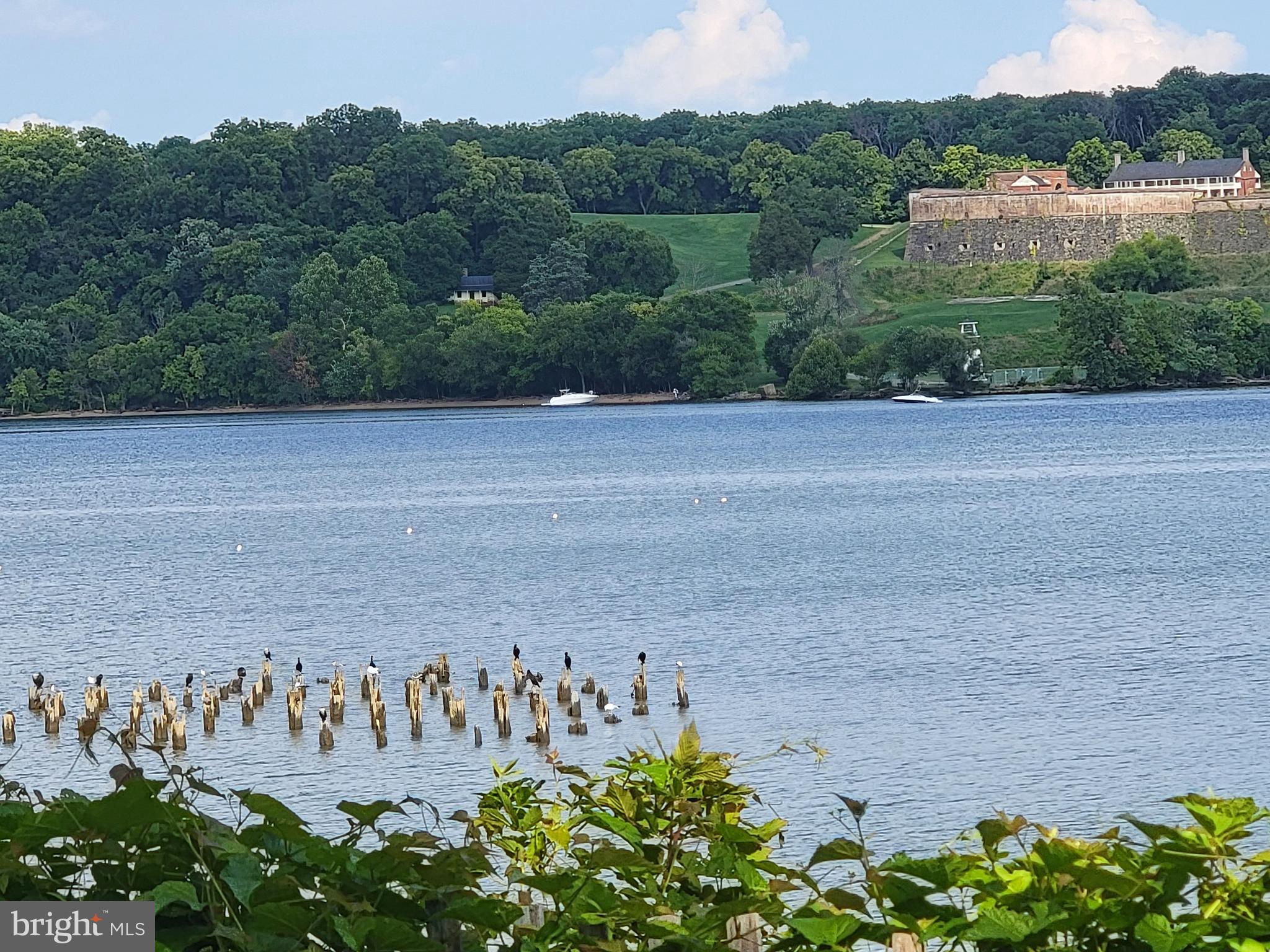 WAYNEWOOD - Residential