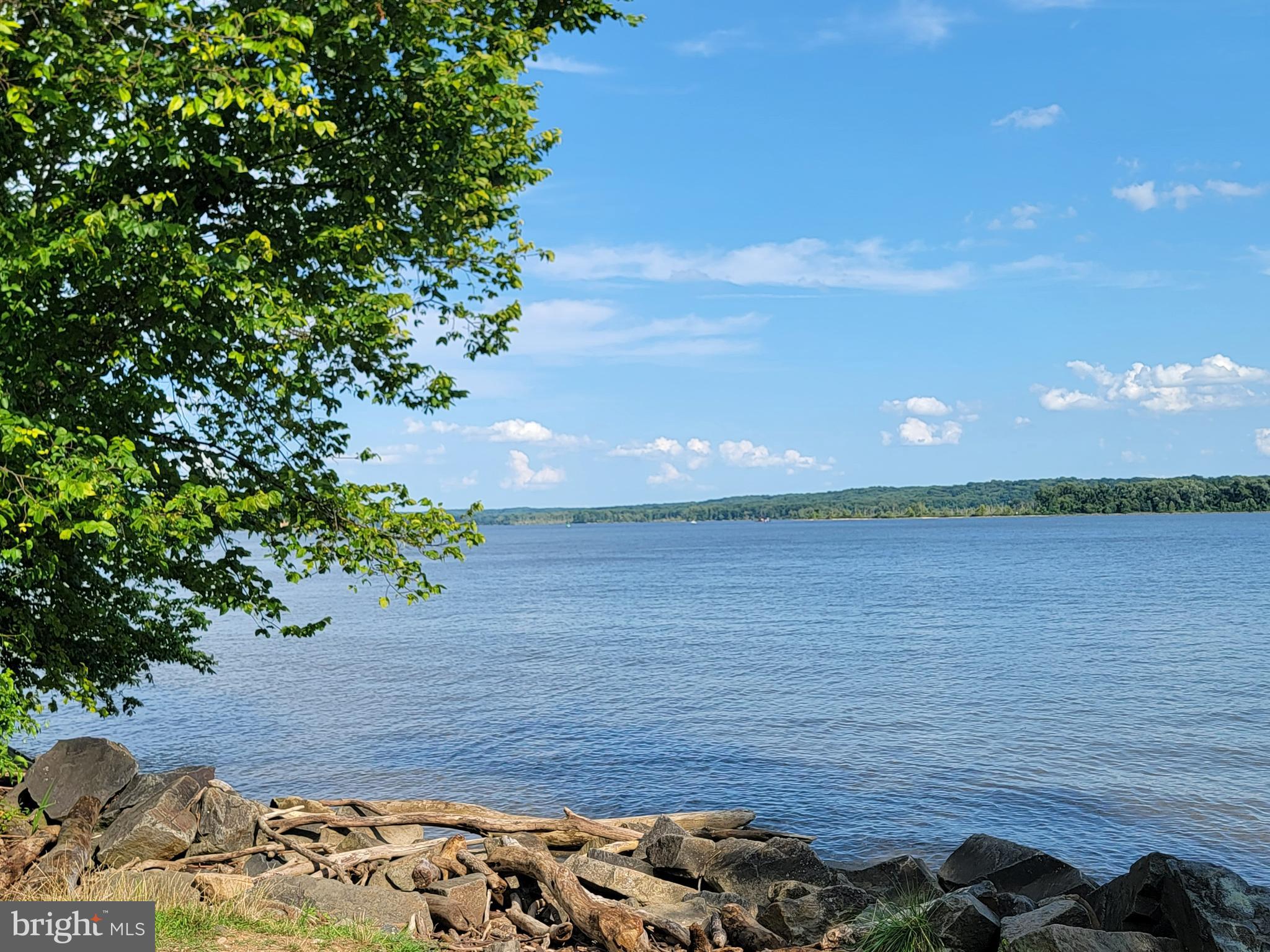 WAYNEWOOD - Residential