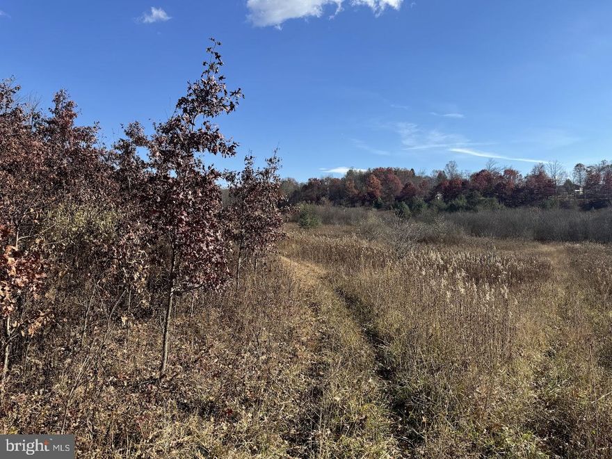 This 56.50 acre parcel of vacant land is a estate listing. 
Approximately 75% of the parcel is wooded, 25 % is cleared pasture. 
The GIS map indicates poorly drained land near the blueline stream. 
I walked the cleared ground and it is dry under foot.
There is no record of Perc tests on file at the Garrett County Health Department.