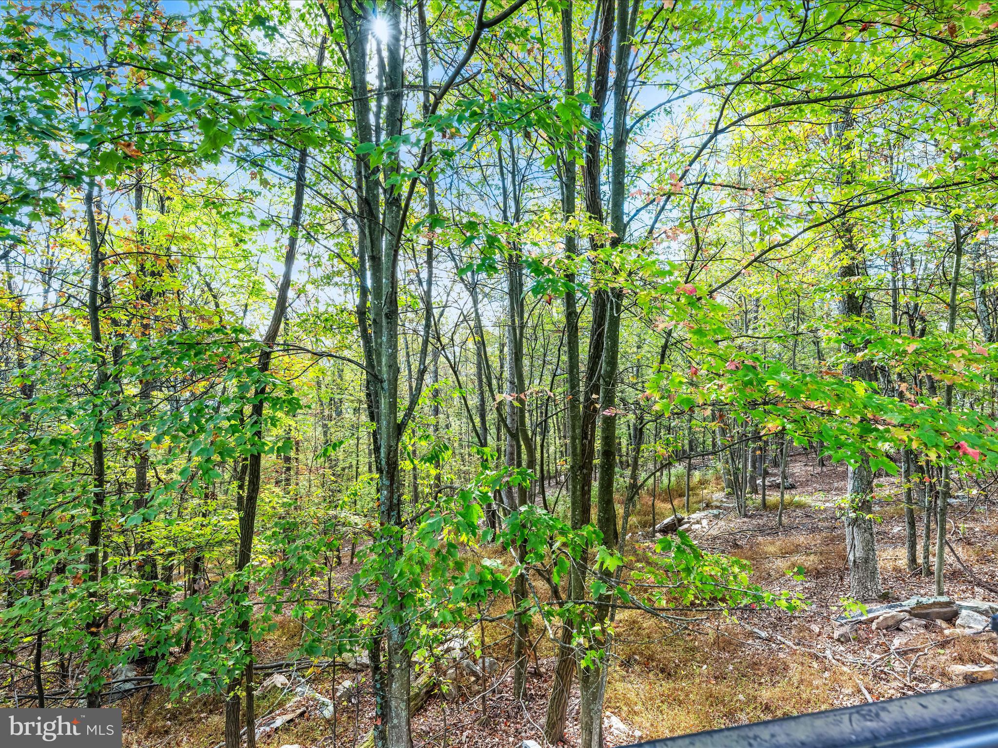 VALLEY HIGH TIMBER FARMS - Residential