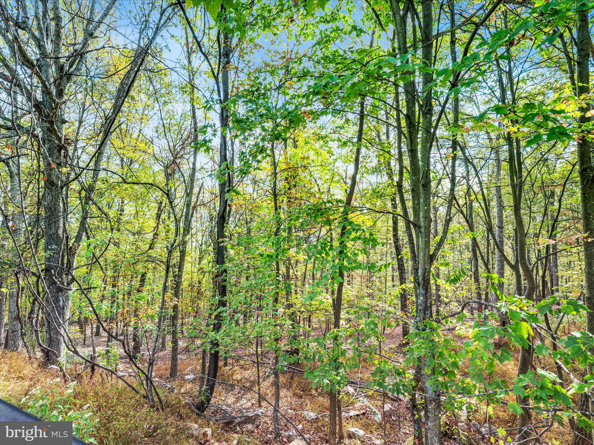 VALLEY HIGH TIMBER FARMS - Residential