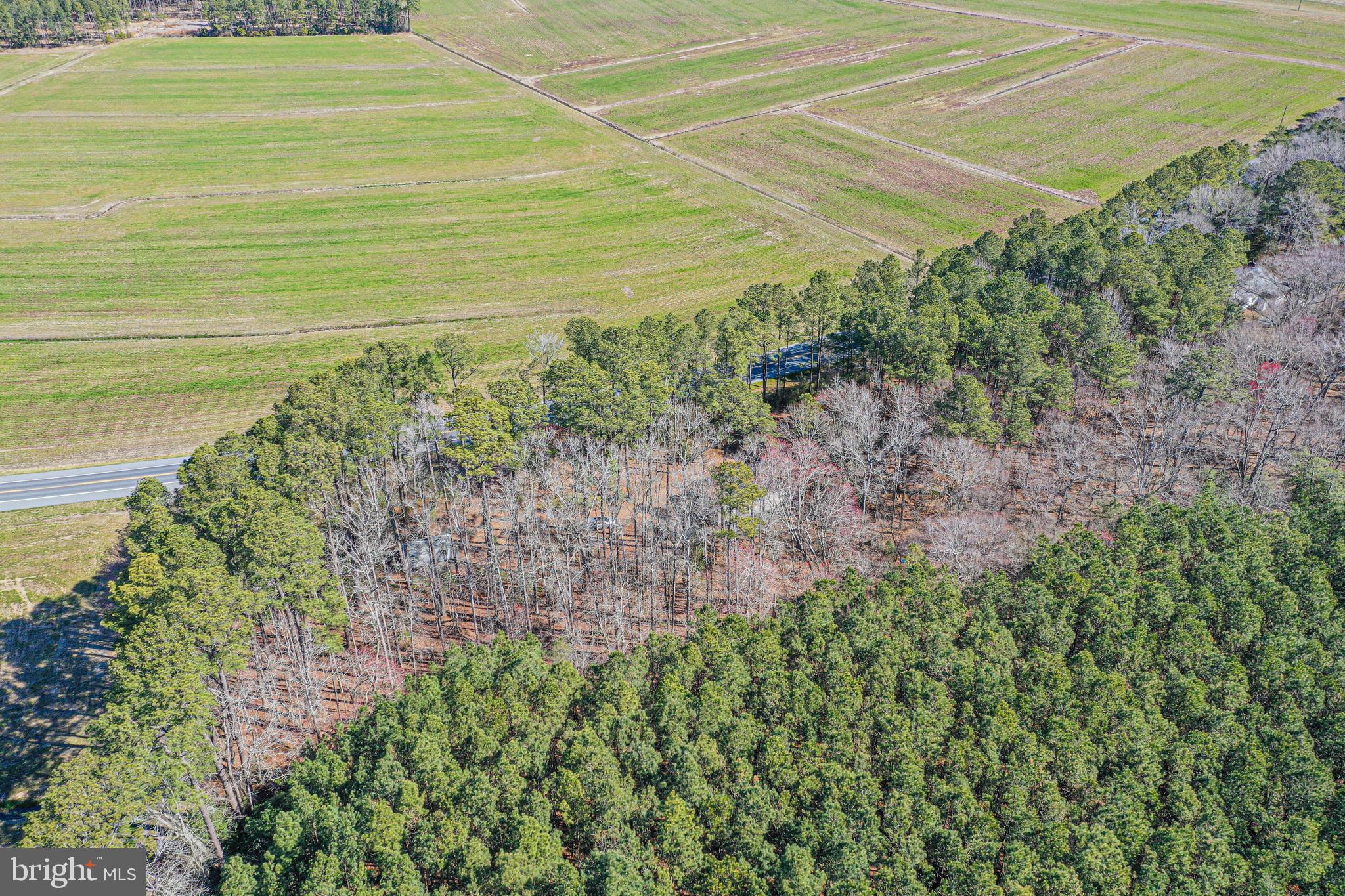 NON DEVELOPMENT - Residential