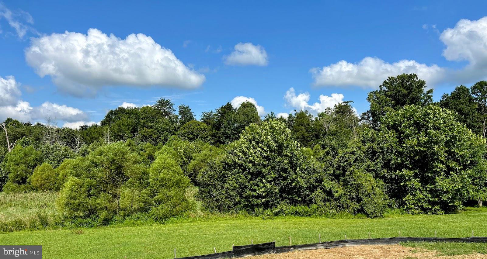 TBD LOOKOUT CIRCLE