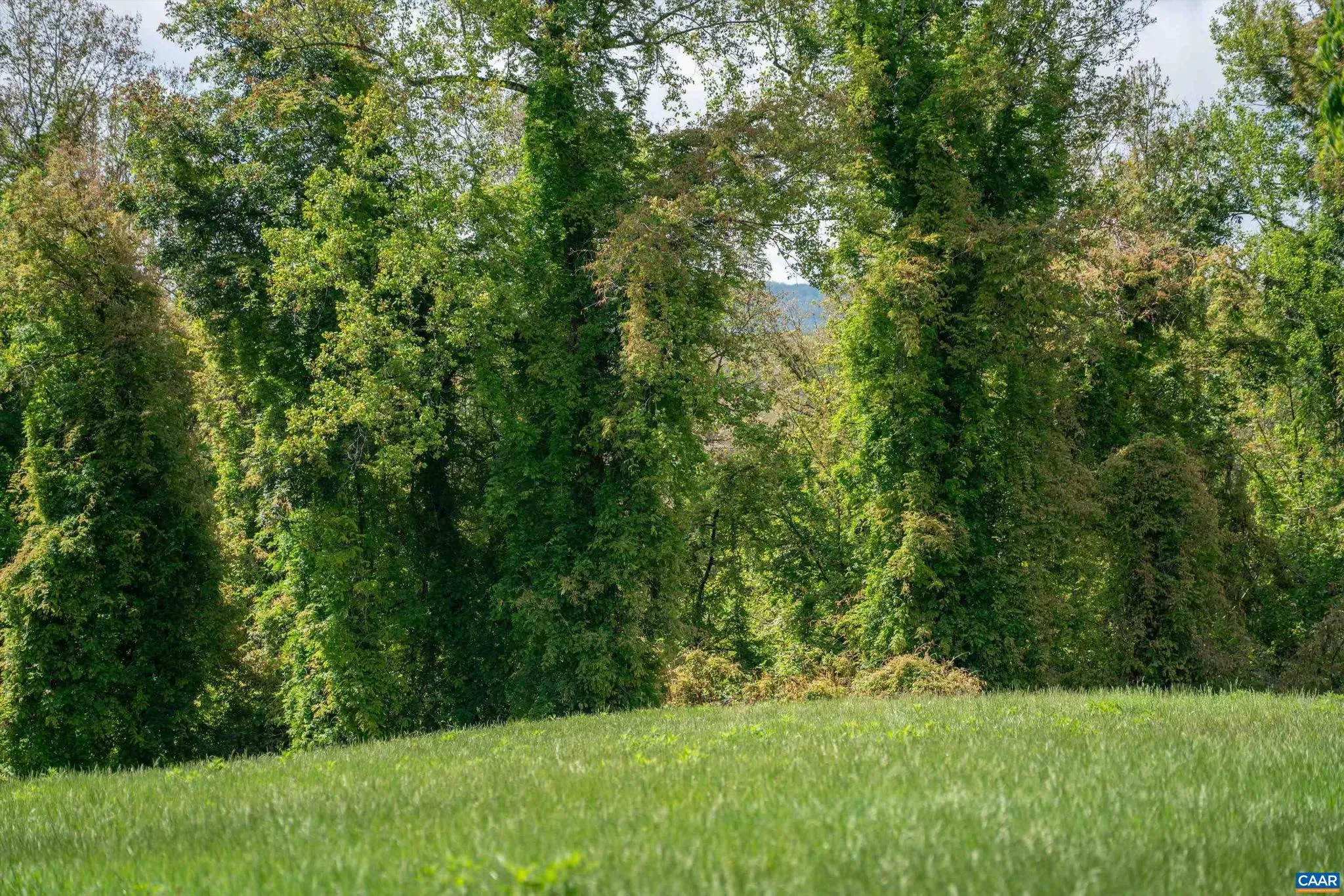 Additional image 52 of Gilbert Station Rd, Barboursville, VA 22923