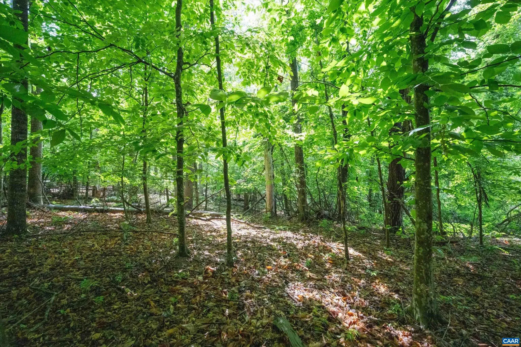 Additional image 50 of Gilbert Station Rd, Barboursville, VA 22923