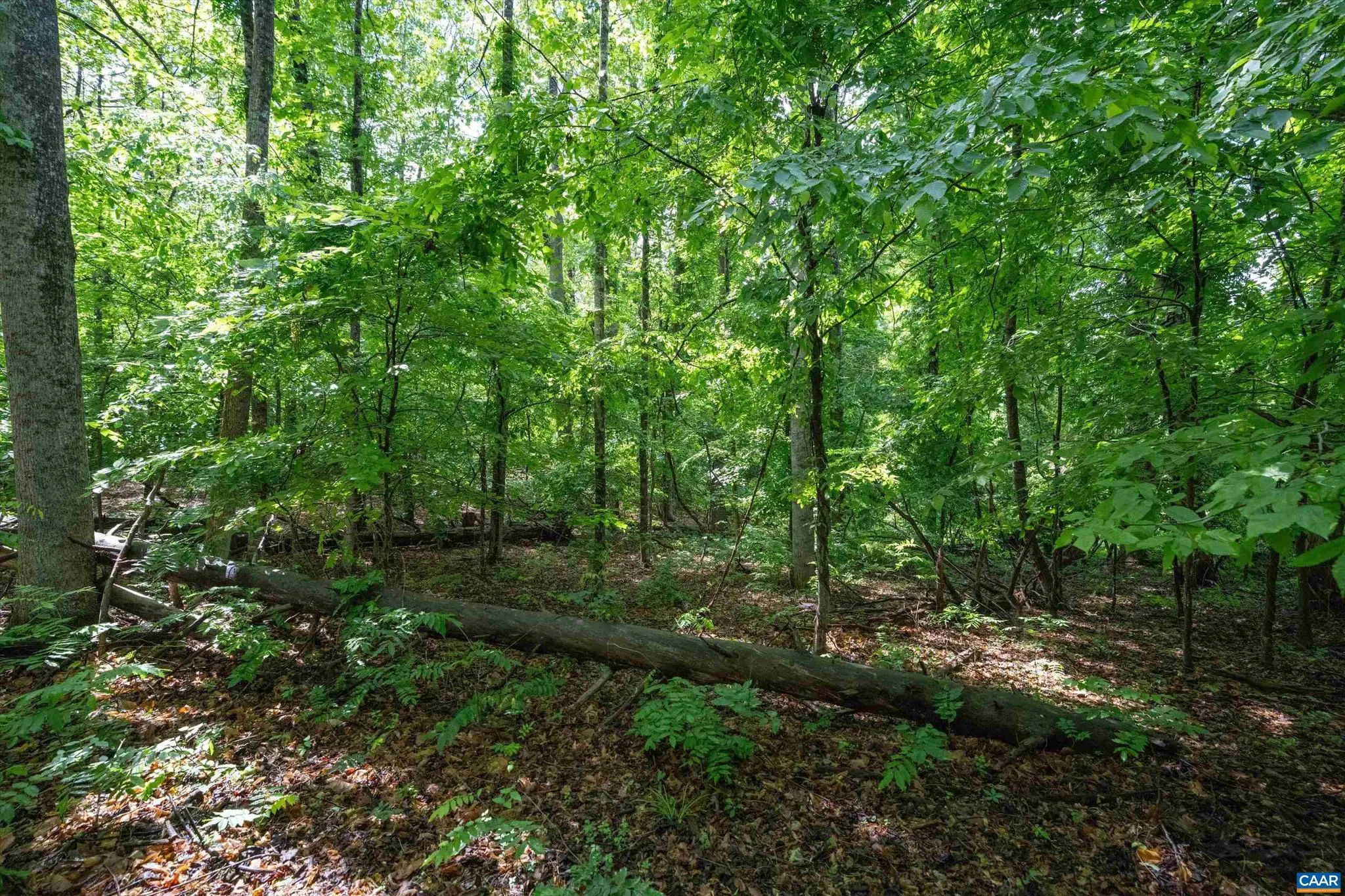 Additional image 51 of Gilbert Station Rd, Barboursville, VA 22923