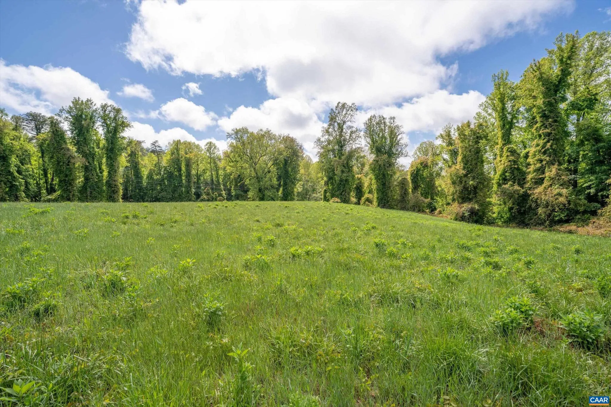 Additional image 34 of Gilbert Station Rd, Barboursville, VA 22923