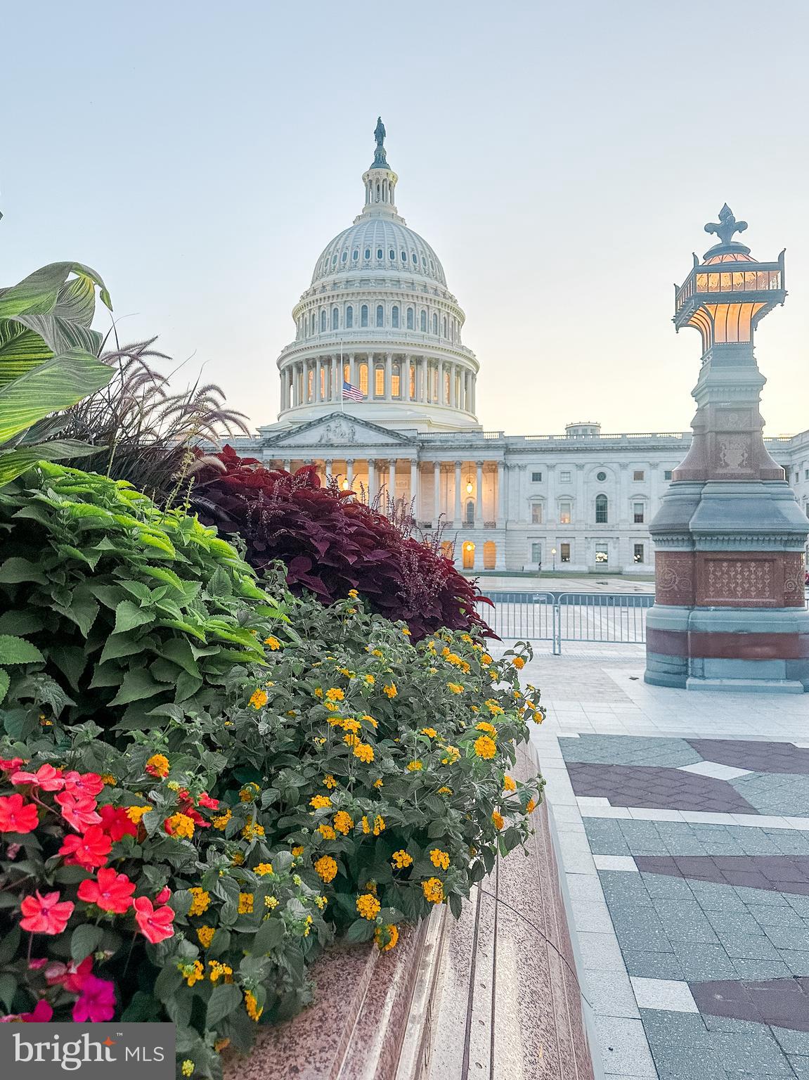 CAPITOL HILL - Residential