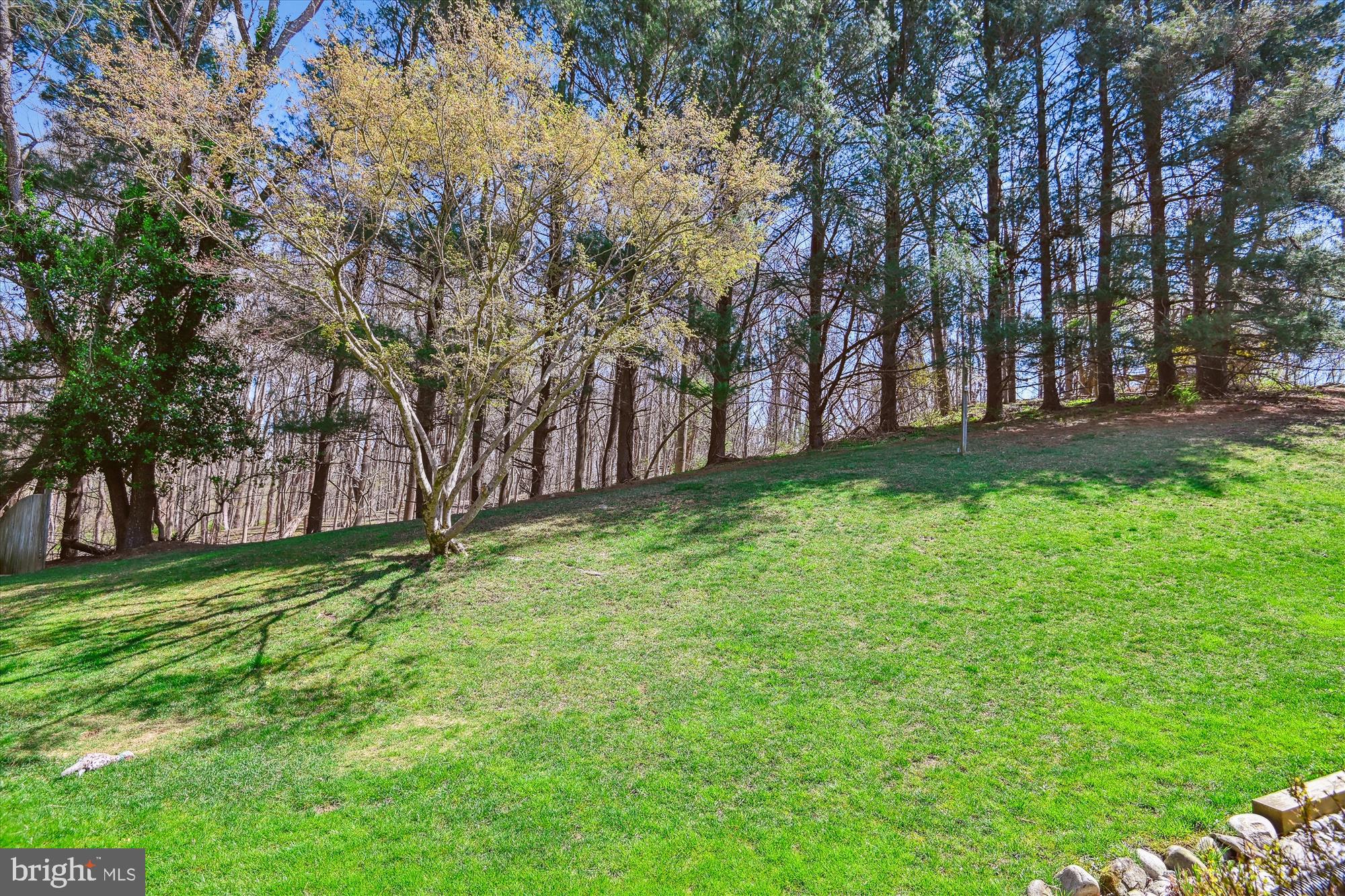 FONT HILL - Residential