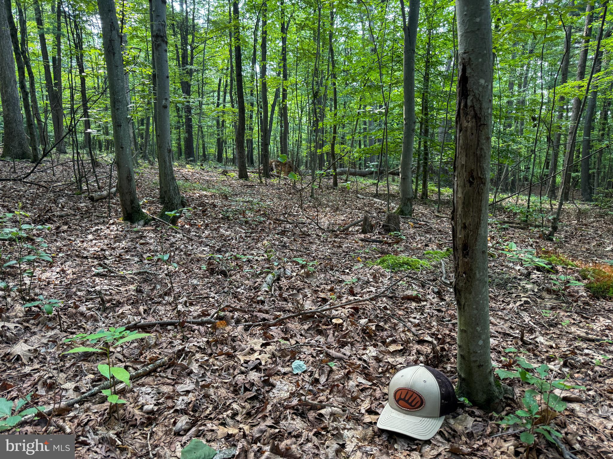 0 MAHANOY VALLEY ROAD LOT 1