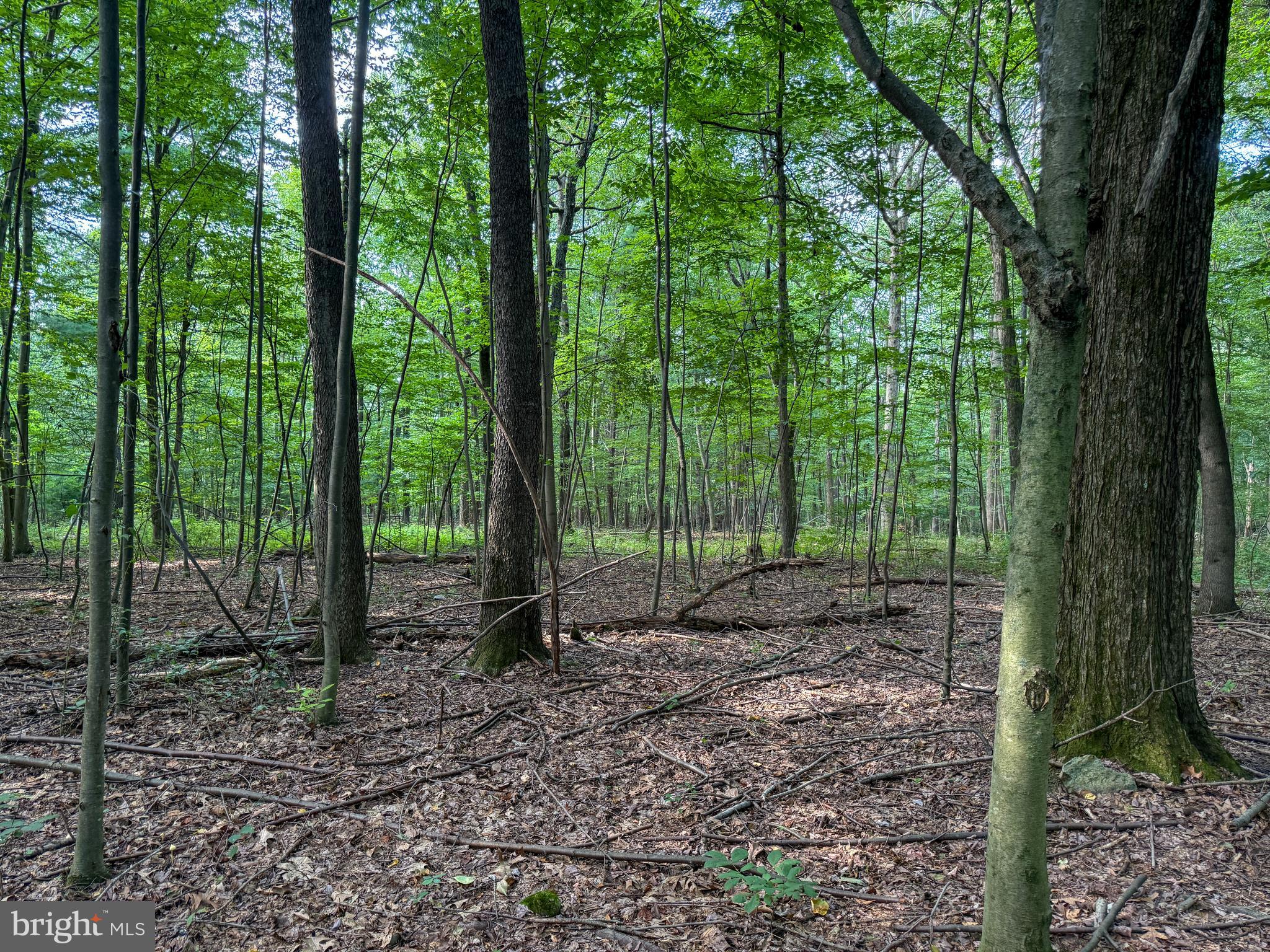 0 MAHANOY VALLEY ROAD LOT 1