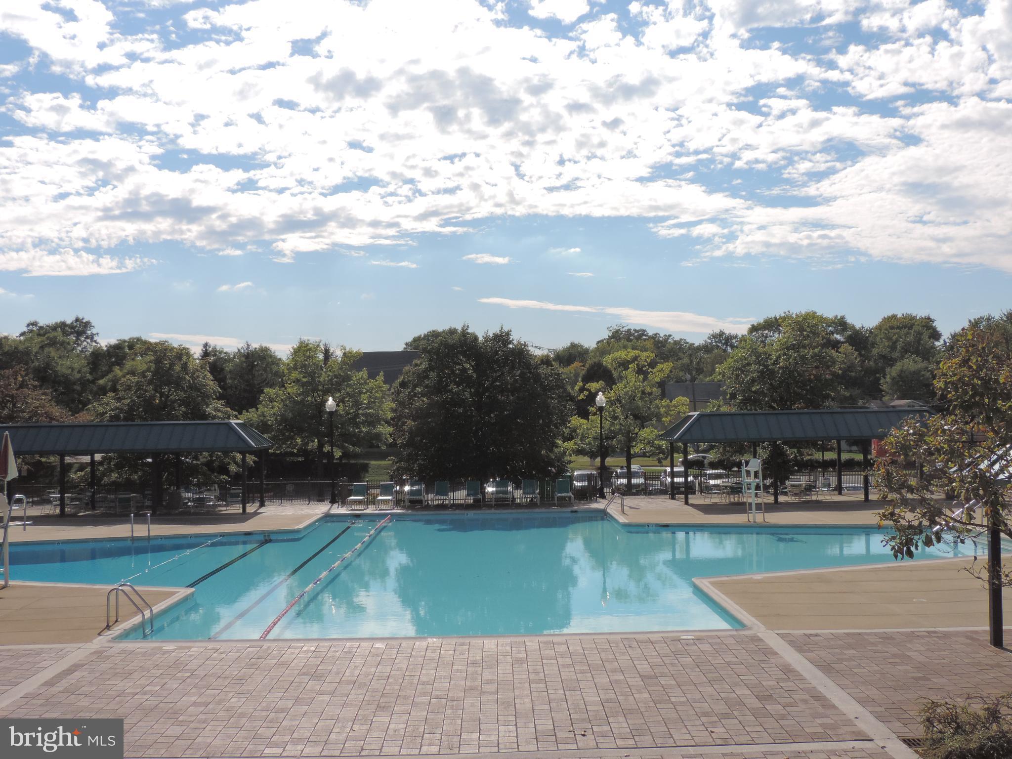 SKYLINE SQUARE CONDO - Residential Lease