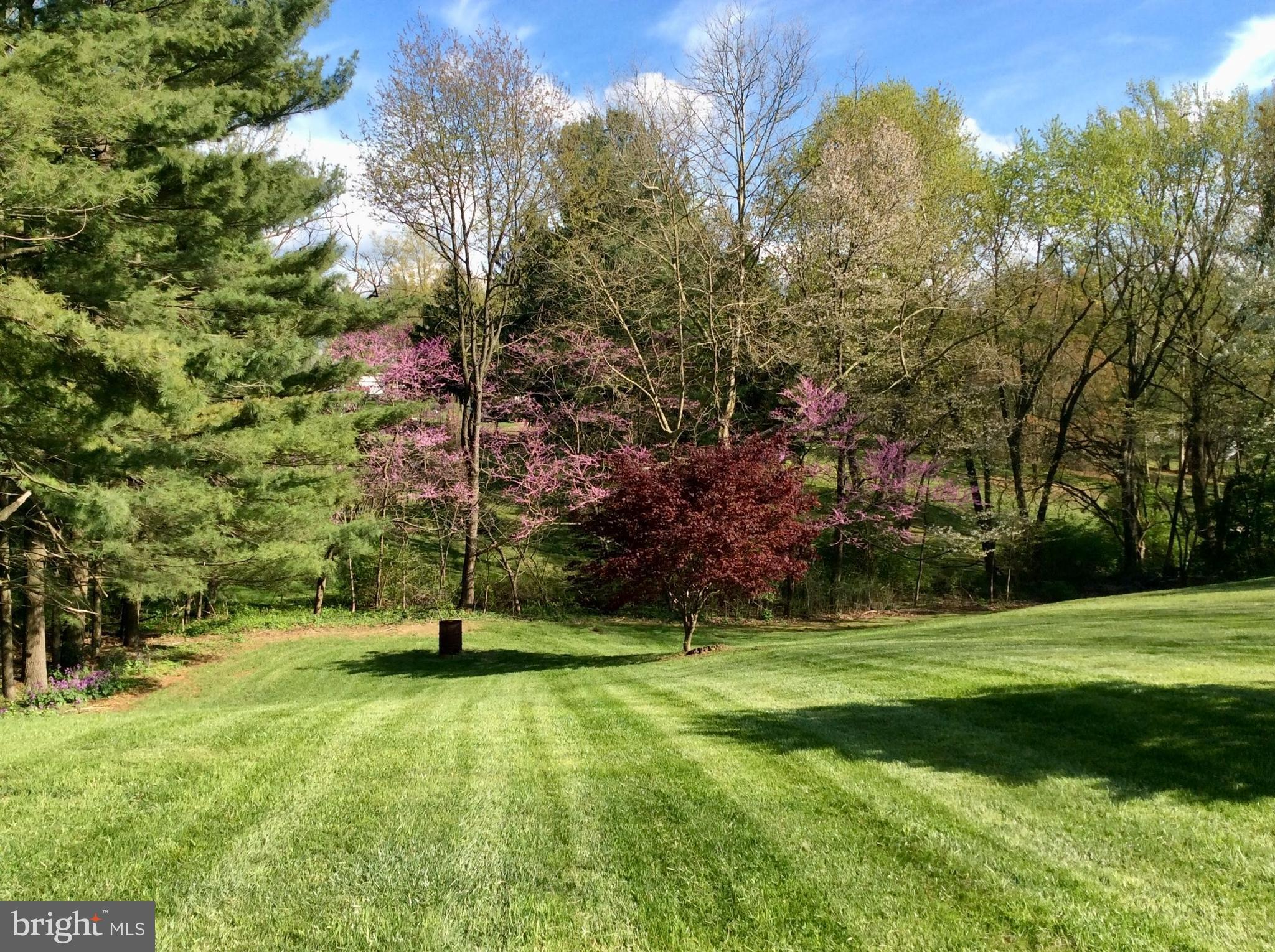 CARROLL PARK - Residential