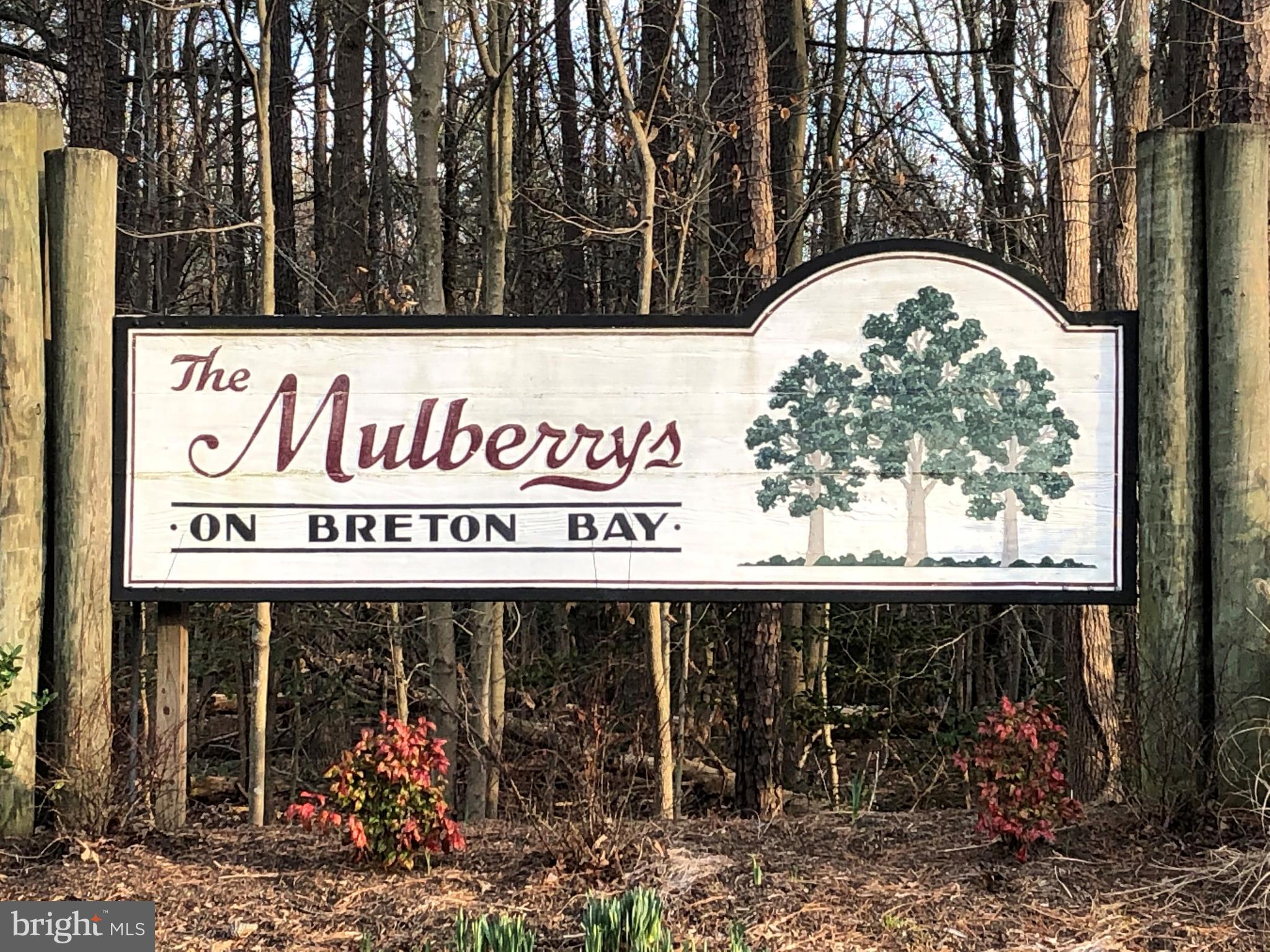 MULBERRY AT BRETON BAY - Residential