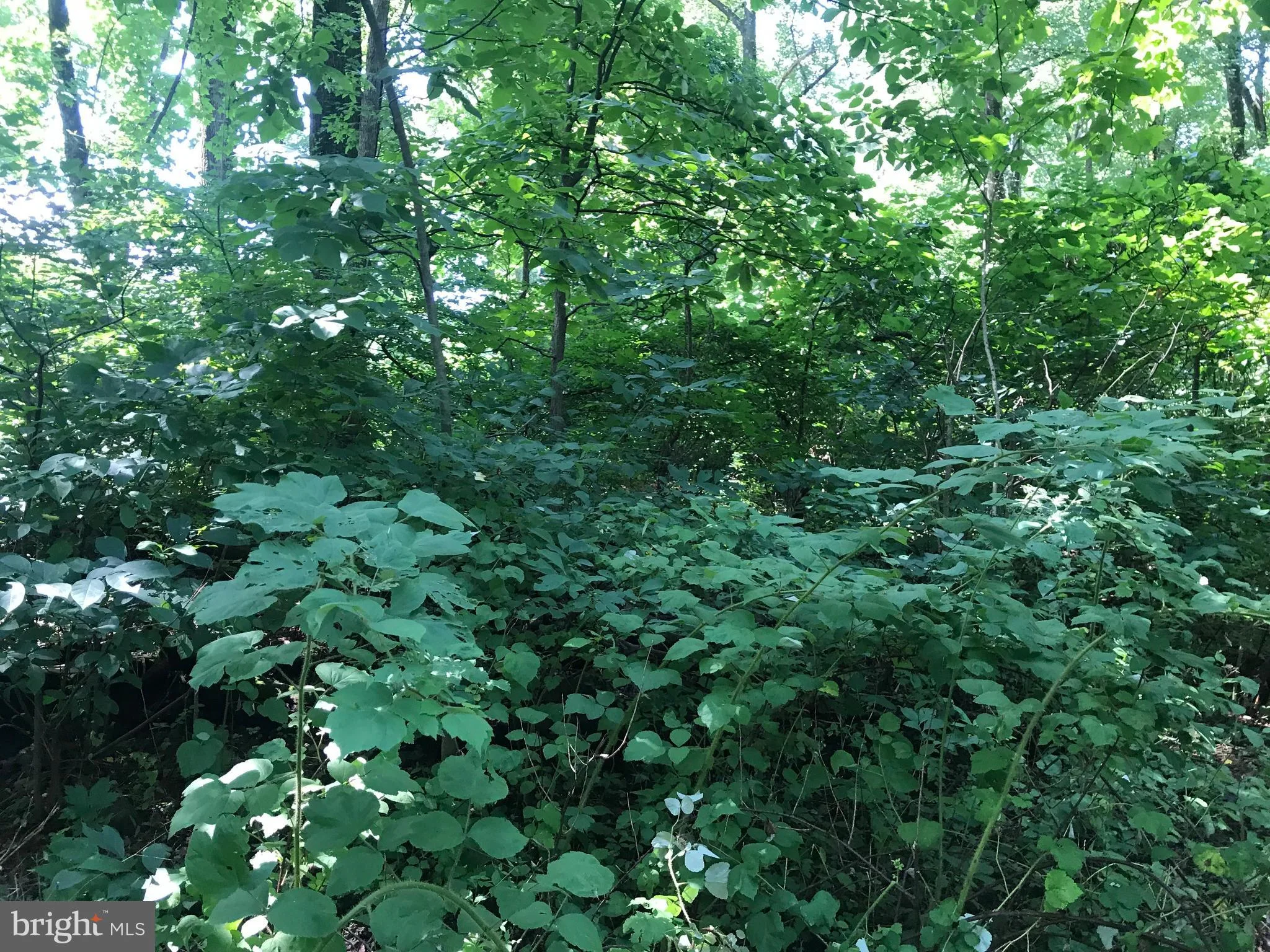Highridge Road, Front Royal, VA 22630