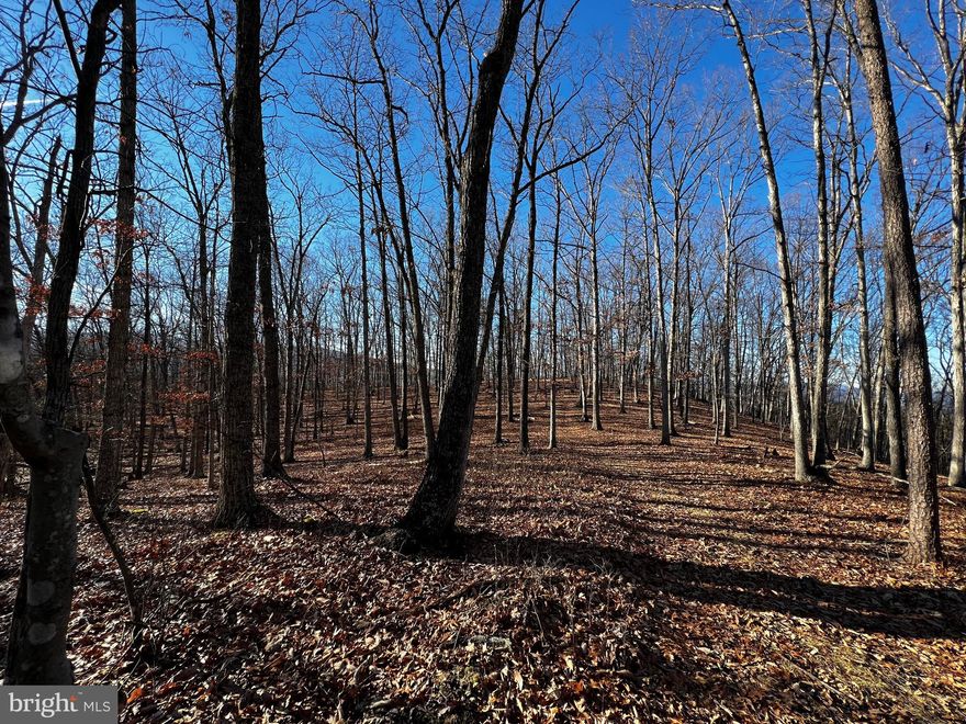 If you are looking for a large wooded tract close to the amenities of a small town, look no further! Almost completely wooded with trails throughout, seasonal streams, views and phenomenal hunting opportunities waiting in these hills and hollows! You must see this one to appreciate the location and topography. . This would make a wonderful hunt club property, family retreat for ATV's or motocross or an awesome preserve for the nature lover to hike and explore. Build your cabin atop one of the flat ridges and take in the view of the surrounding mountains and valley below, or trek minutes into town and explore all the Potomac Highlands has to offer; fishing or floating the South Branch or North Fork of the Potomac, skiing Canaan Valley, visiting wineries, hiking Seneca, the Big Schloss, or the numerous National Forest trails in the area. But, with 313 acres you can hunker down on your own woodland sanctuary where the flora, fauna and wildlife abound! Comprised of four surveyed parcels, a large tract this close to town is seldom offered for sale, so don't miss out on this one! Get three of your buddies together to invest and you'll each have adjoining tracts! 4WD access only. Proof of funds or lender pre-qualification needed for showing.