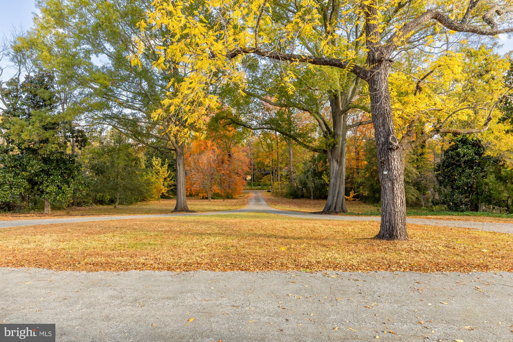 YACHT HAVEN ESTATES - Residential