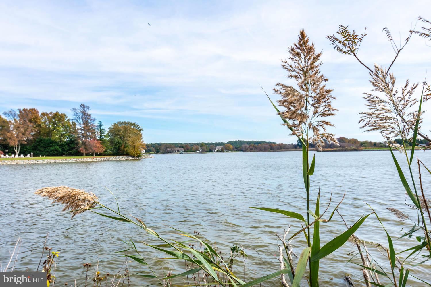 TOWER GARDENS - Residential