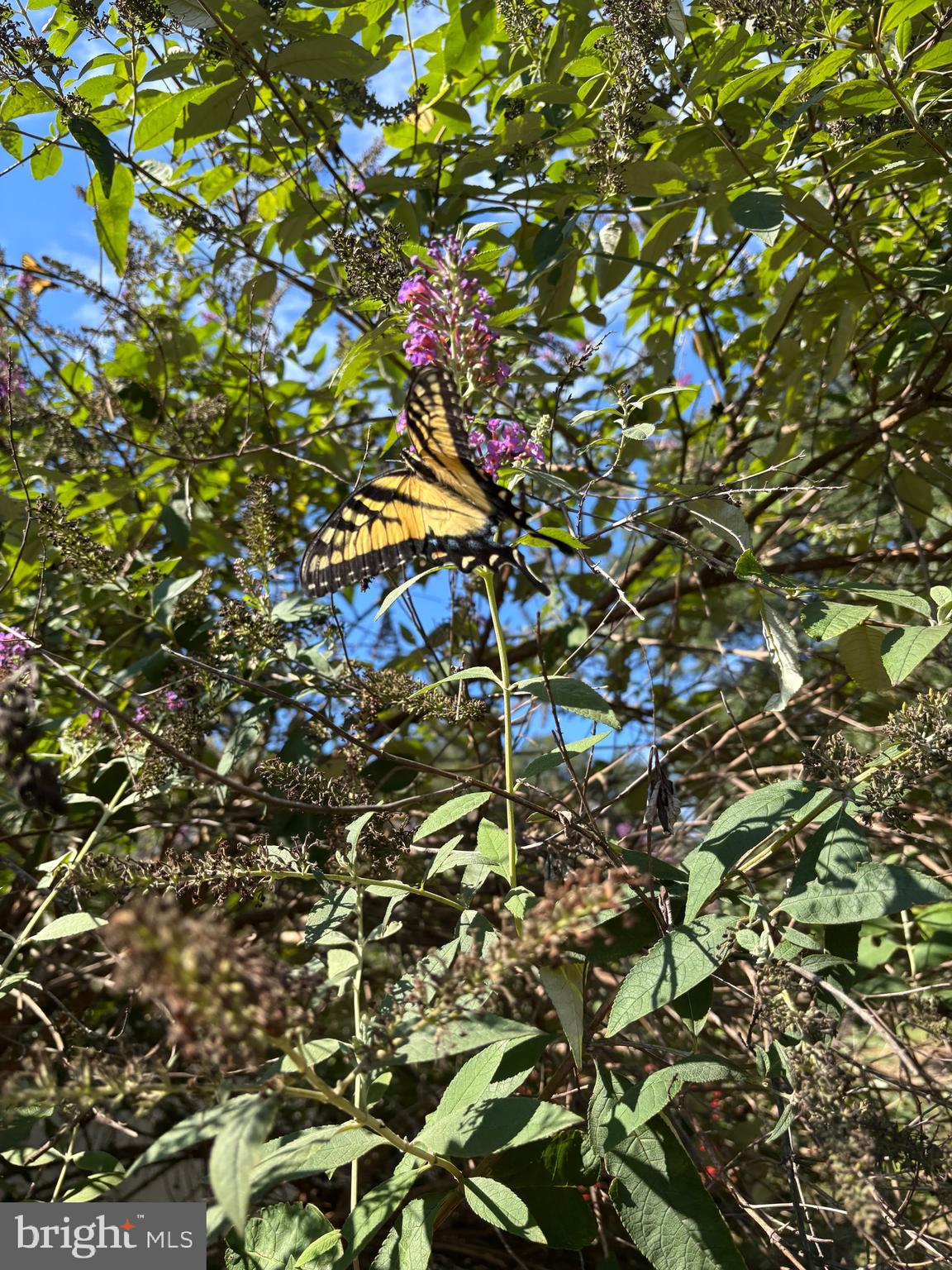 FAIRVIEW FARM SUBD - Residential