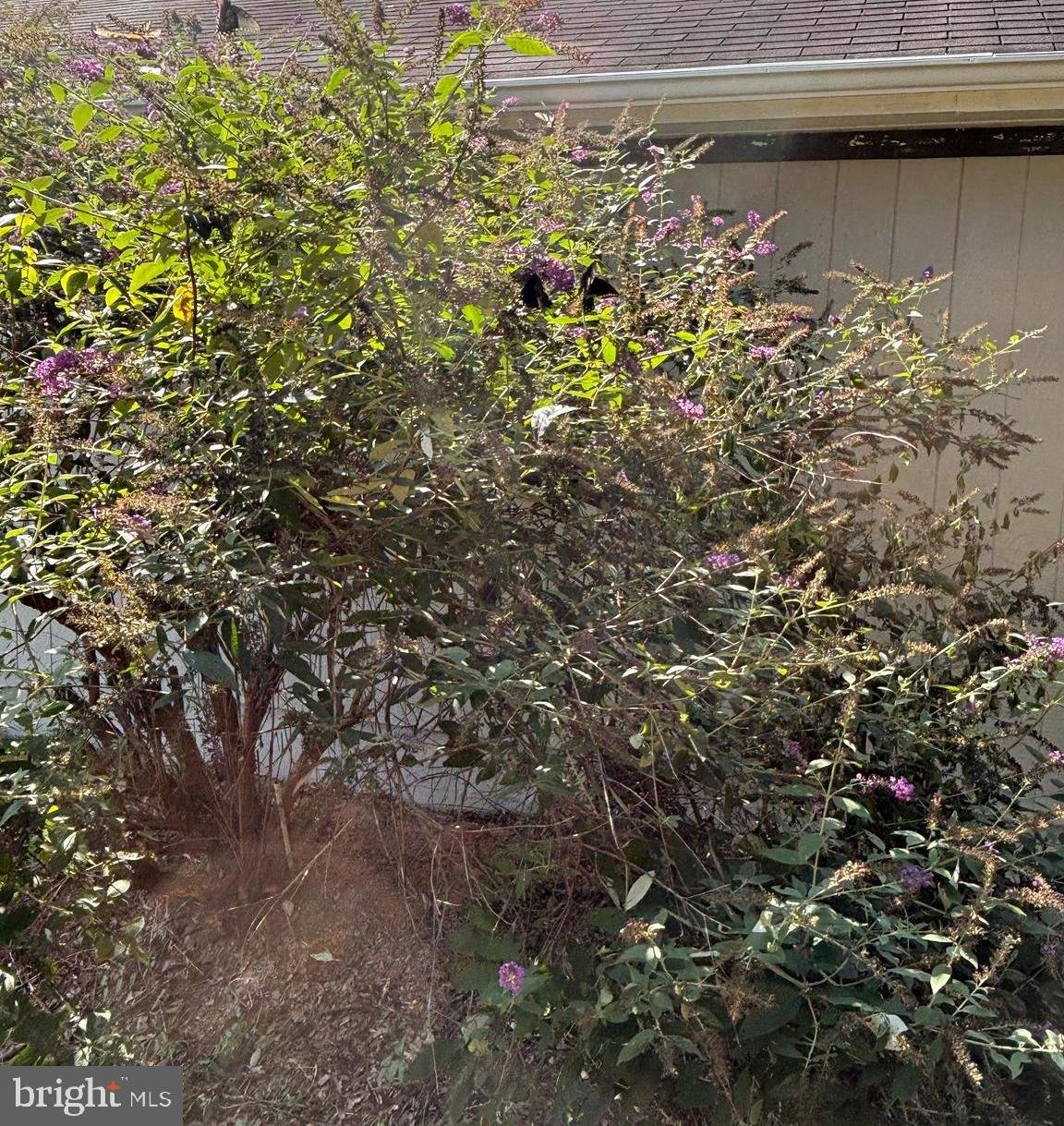 FAIRVIEW FARM SUBD - Residential