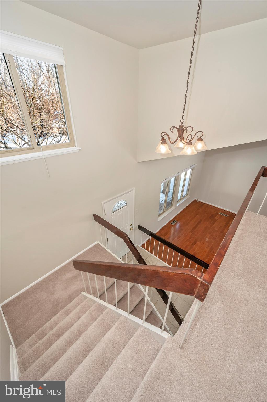 DUFIEF - Residential