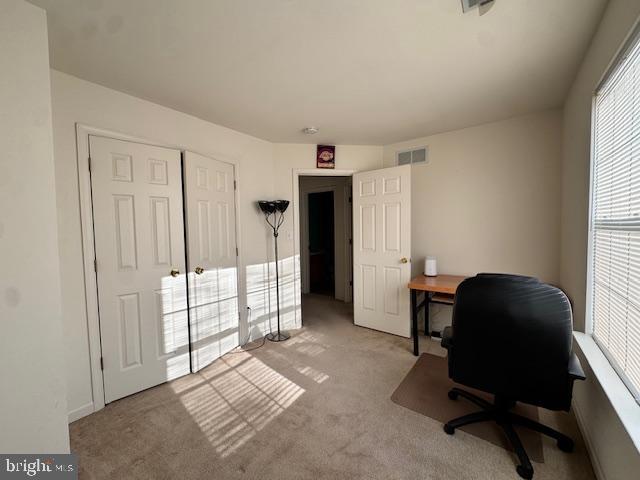 BAY TREE - Residential