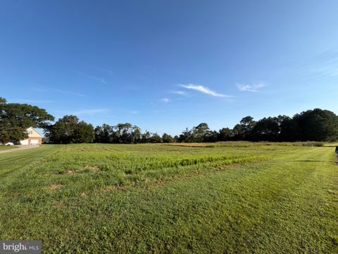 Vacant Land For Sale - 28224 Merlin Court<br/> Somerset County, PRINCESS ANNE, MD 21853