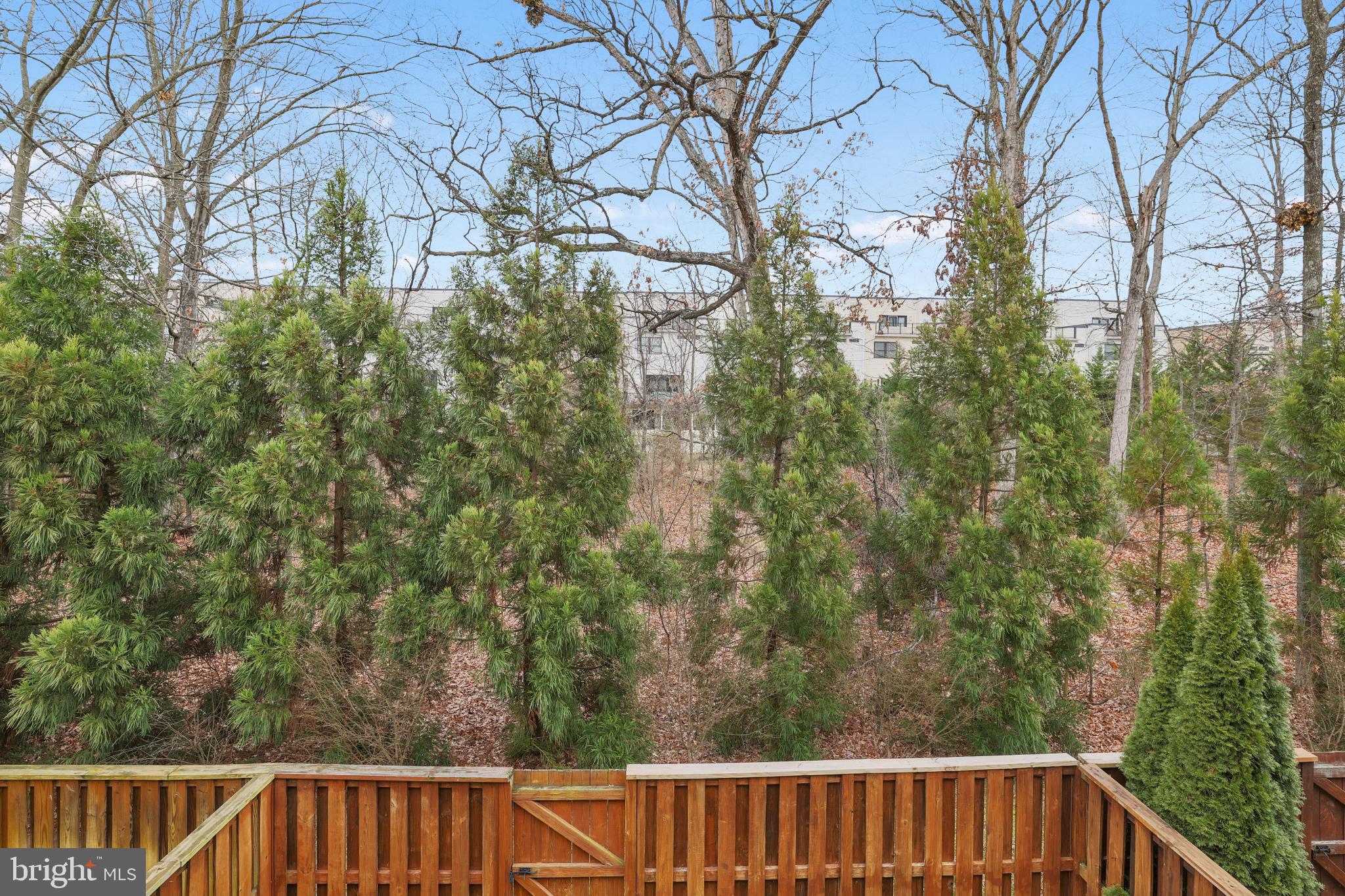 BELMONT TRACE - Residential Lease