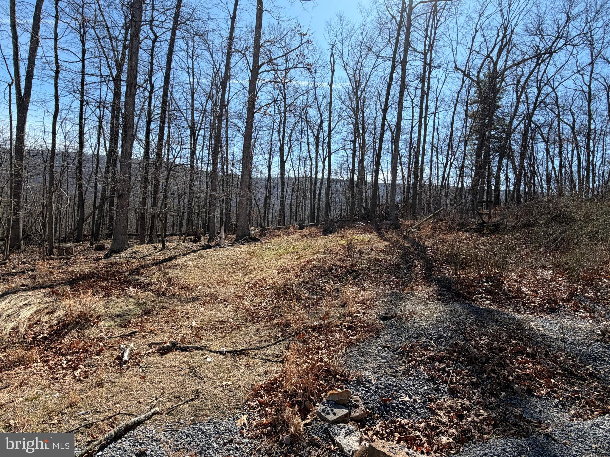 CACAPON RIVER RAPIDS - Land