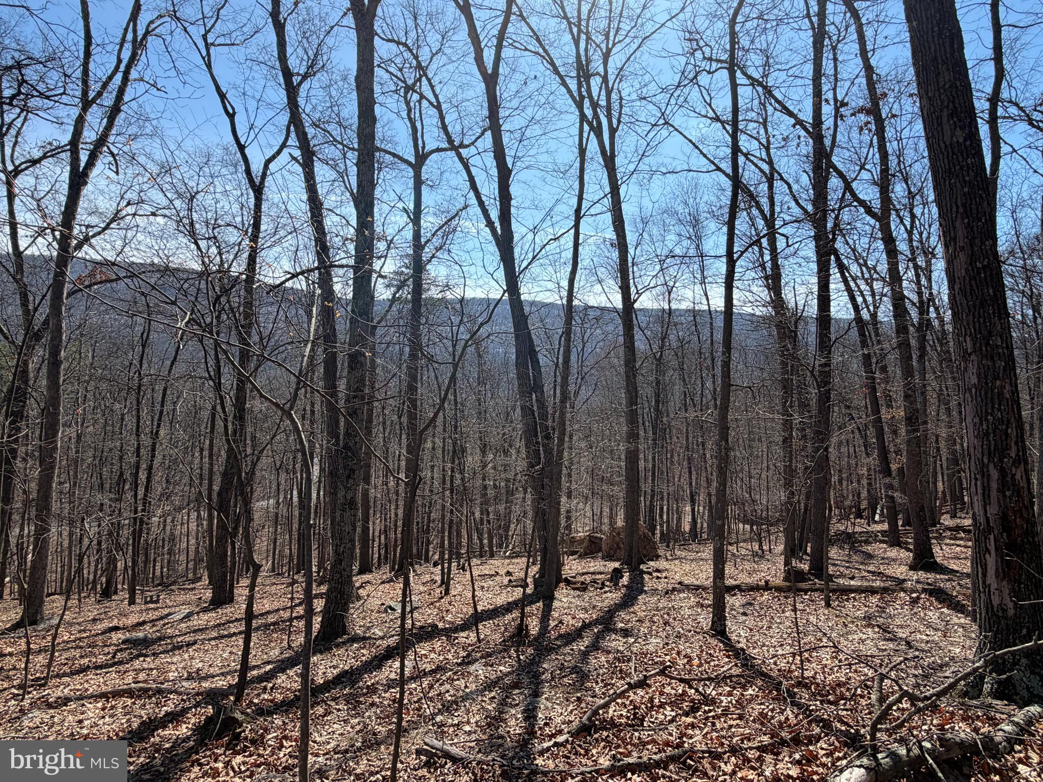 CACAPON RIVER RAPIDS - Land
