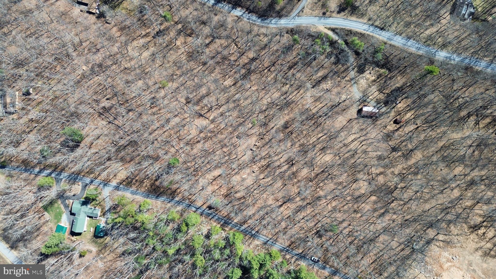 CACAPON RIVER RAPIDS - Land