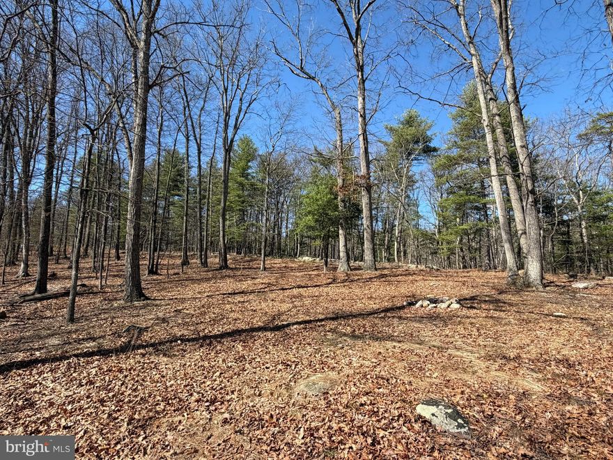 Beautiful 5.14-acre wooded lot located in the Cacapon River Rapids community, offering the perfect opportunity to buy now and build later. In the meantime, bring your camper and fishing rods and start enjoying everything this property has to offer, including community river access. The lot features a versatile landscape with a mix of level, gently rolling, and sloping terrain, providing multiple ideal building sites depending on your vision. The community offers well-maintained roads and convenient access to Route 9. This is an unimproved parcel with no perc on file, though electric is nearby. Buyer to perform their own due diligence. One of the standout features is the flexibility to create exactly what you envision—whether that’s a private getaway, a cozy cabin, or a custom home surrounded by nature.