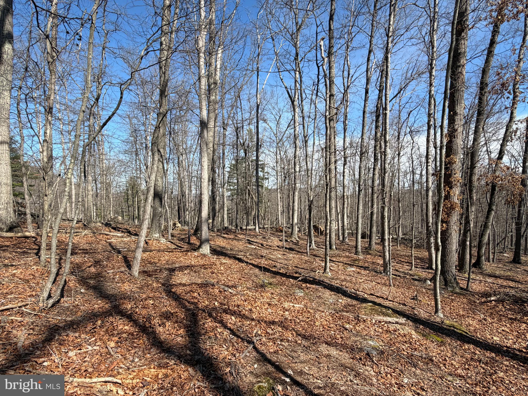 CACAPON RIVER RAPIDS - Land