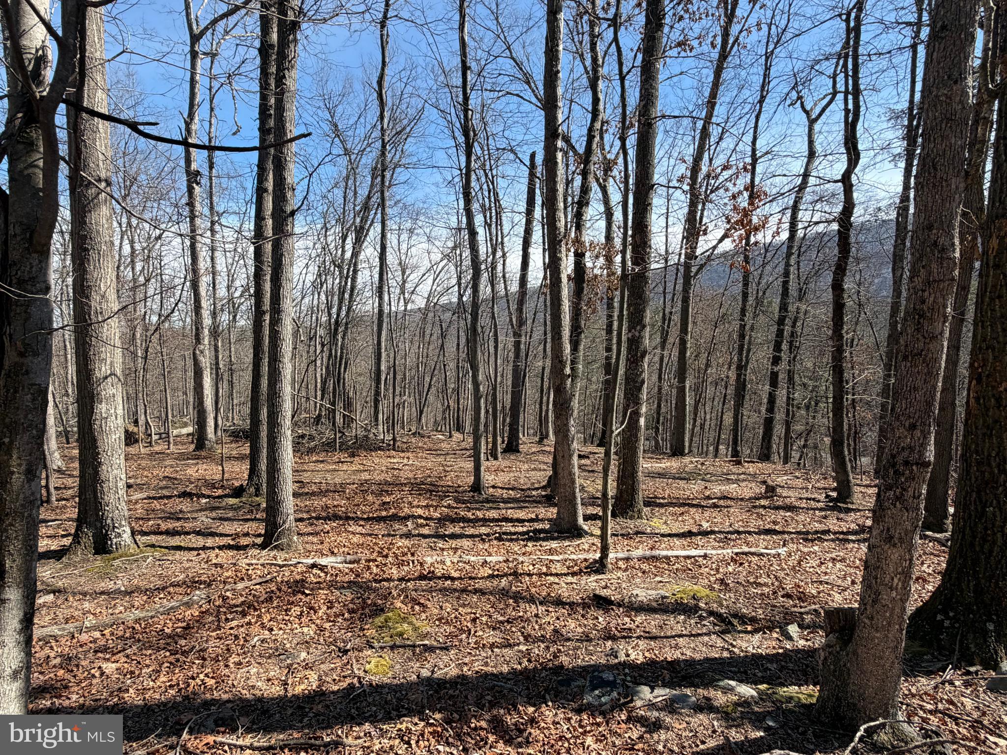 CACAPON RIVER RAPIDS - Land