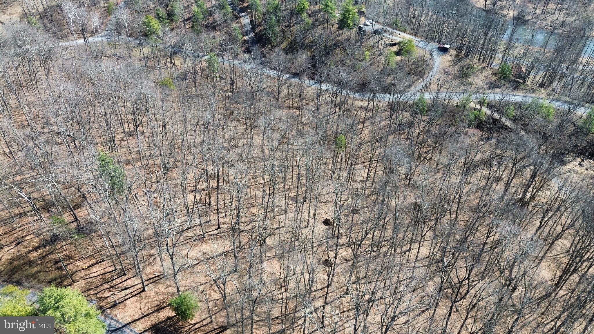 CACAPON RIVER RAPIDS - Land