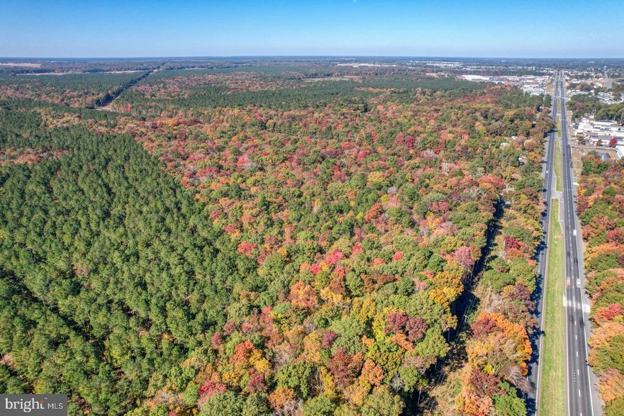 A unique chance for development! Don't miss this rare opportunity to acquire a property with commercial zoning on the major Dupont Blvd! Highly visible 64.52+/- acres situated on the West side of Rt. 113 between Millsboro and Dagsboro comprise 26 acres zoned C-1 and 38.52 zoned AR. The 26 acres have 3 direct accesses from Rt.113, allowing for numerous commercial opportunities and projects. The remaining 38.52 +/- acres are zoned AR, permitting residential development with single-family homes. A concept plan illustrates 55 homes on the rear of the property and a potential commercial plaza and soccer field on the front. The current plan is designed for dwellings with wells and septic systems; however, if public utilities are available, the property's potential uses will be limitless. The plan can be redesigned to accommodate the buyer's needs. A wetland delineation report has been completed.   Call the listing agent for details.