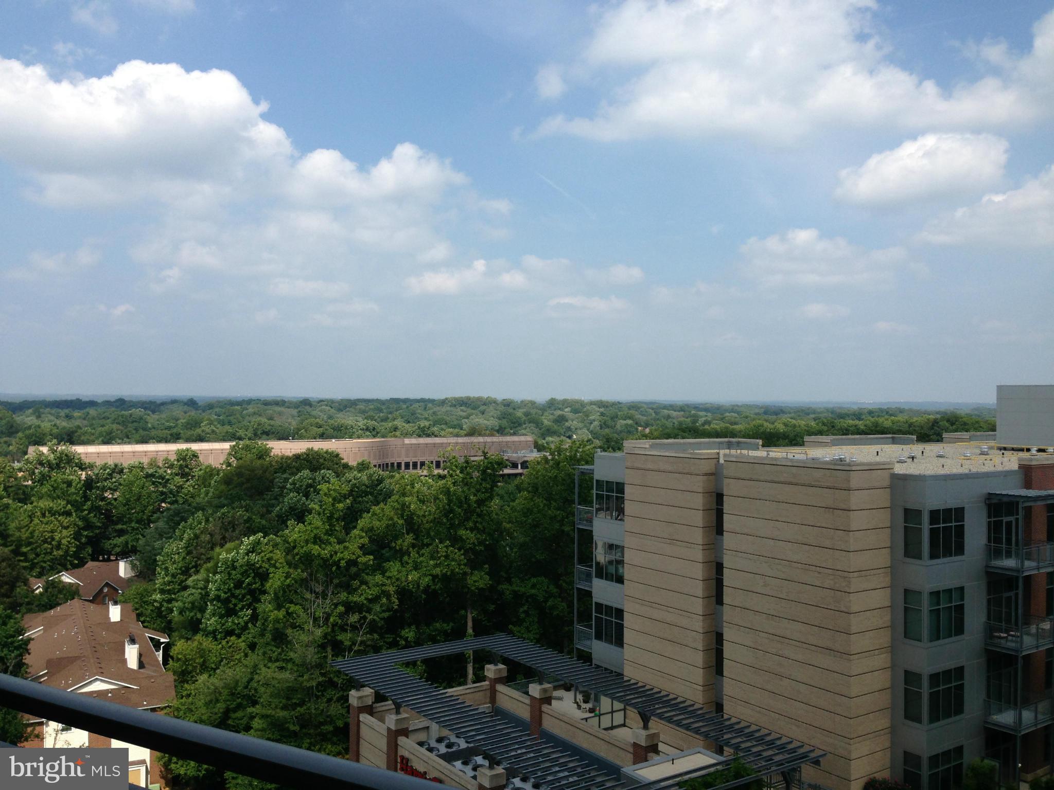 ONE PARK CREST - Residential Lease