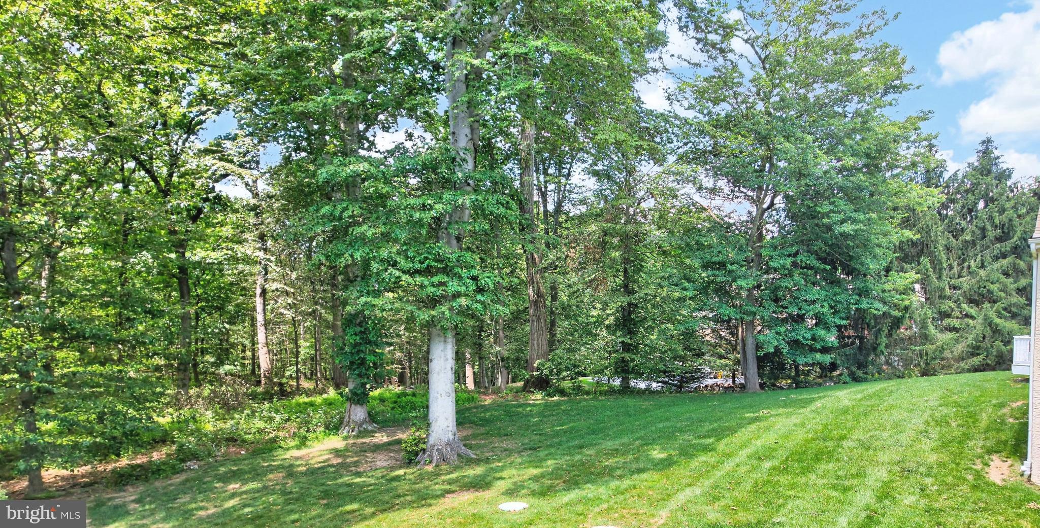 913 SHENANDOAH LANE
