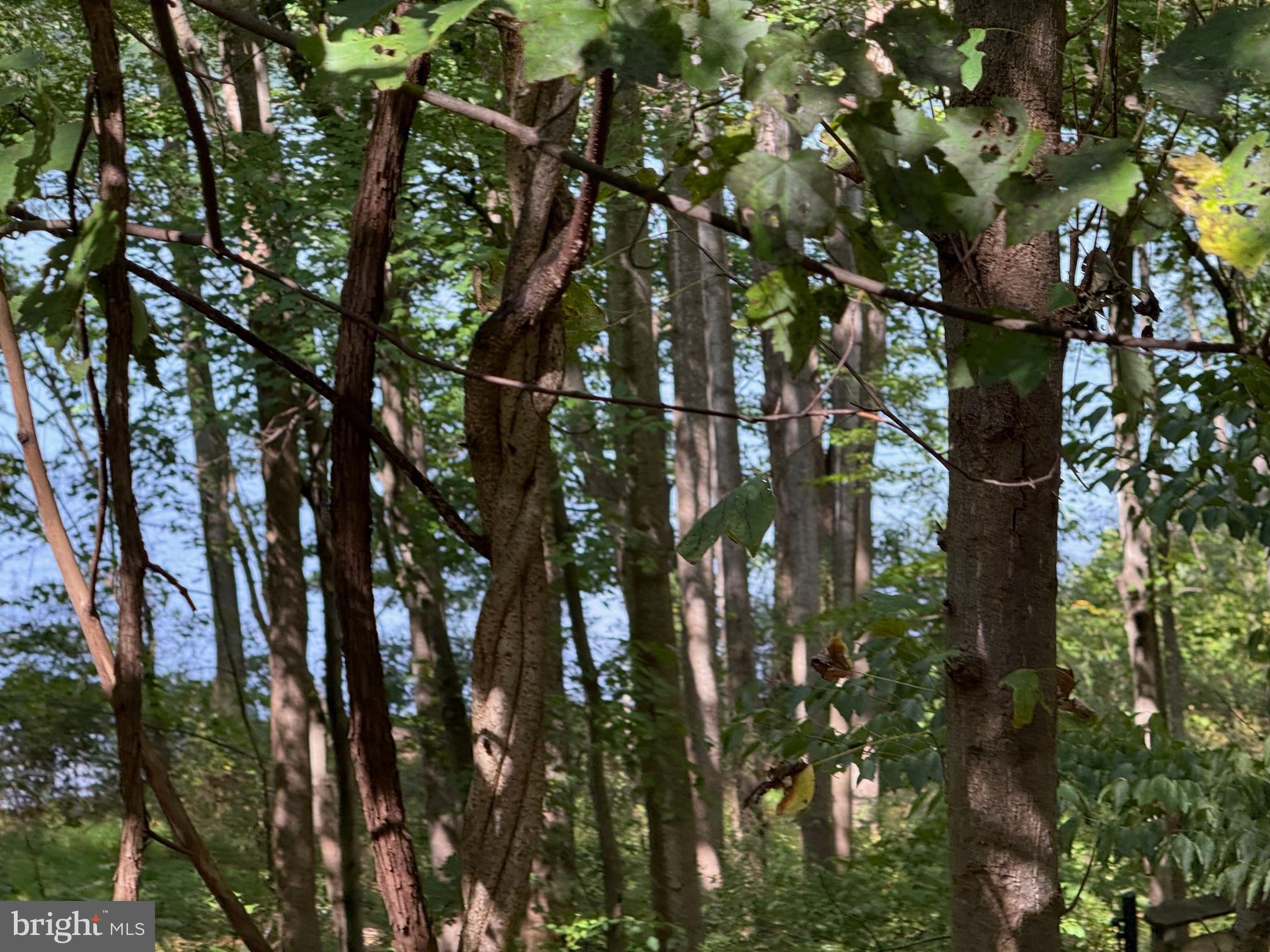 CHURCHILL TOWN SECTOR - Residential