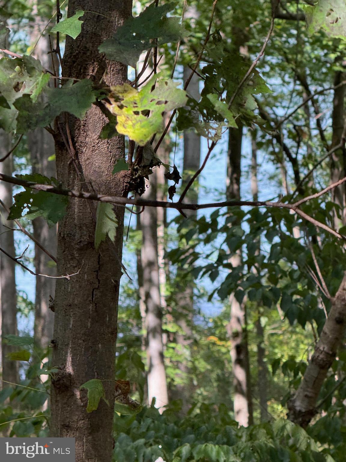 CHURCHILL TOWN SECTOR - Residential