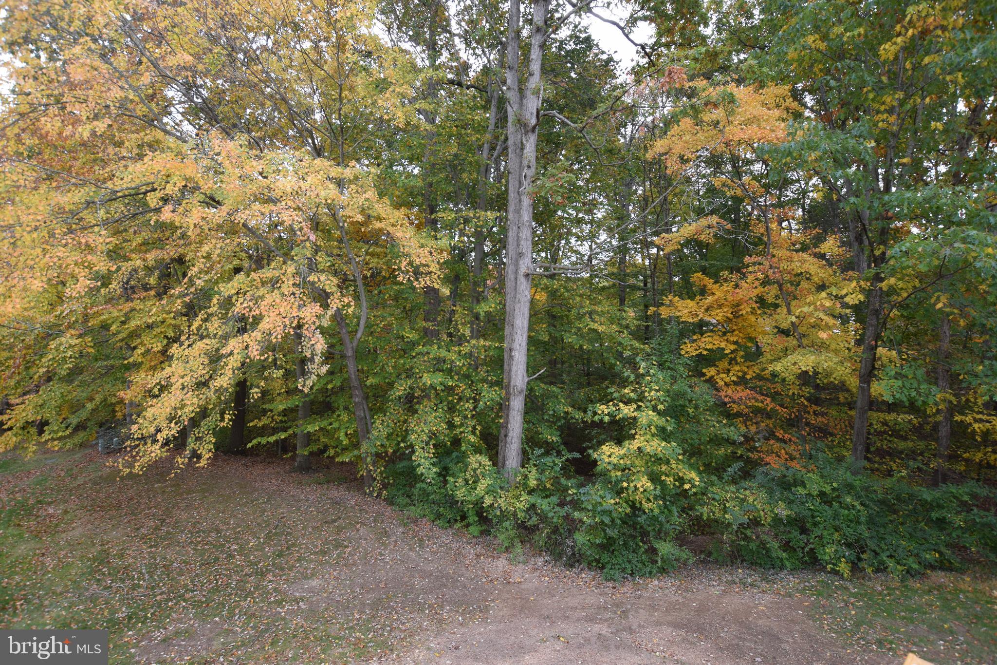 LAKE RIDGE - Residential Lease