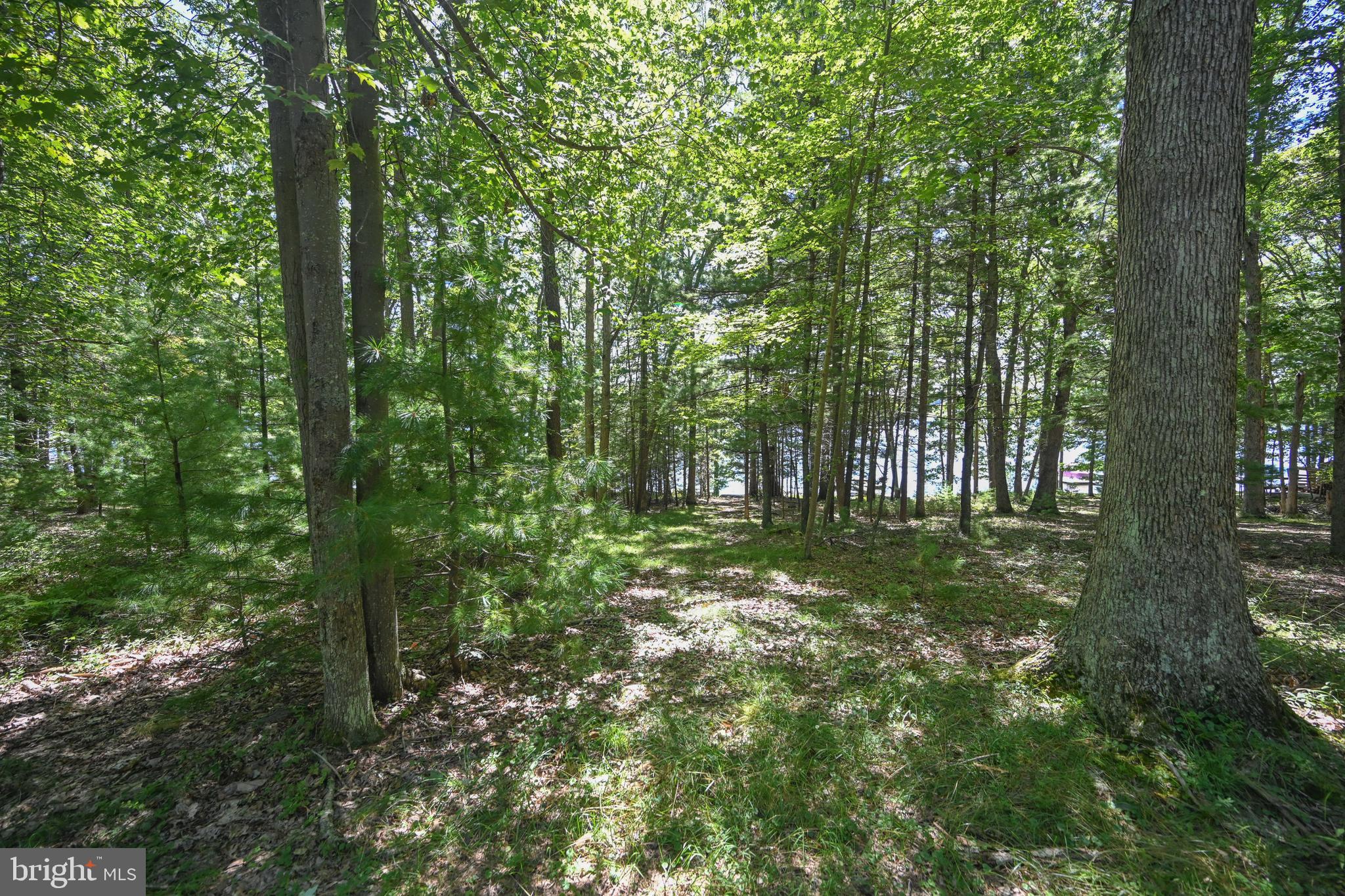 THOUSAND ACRES - Land