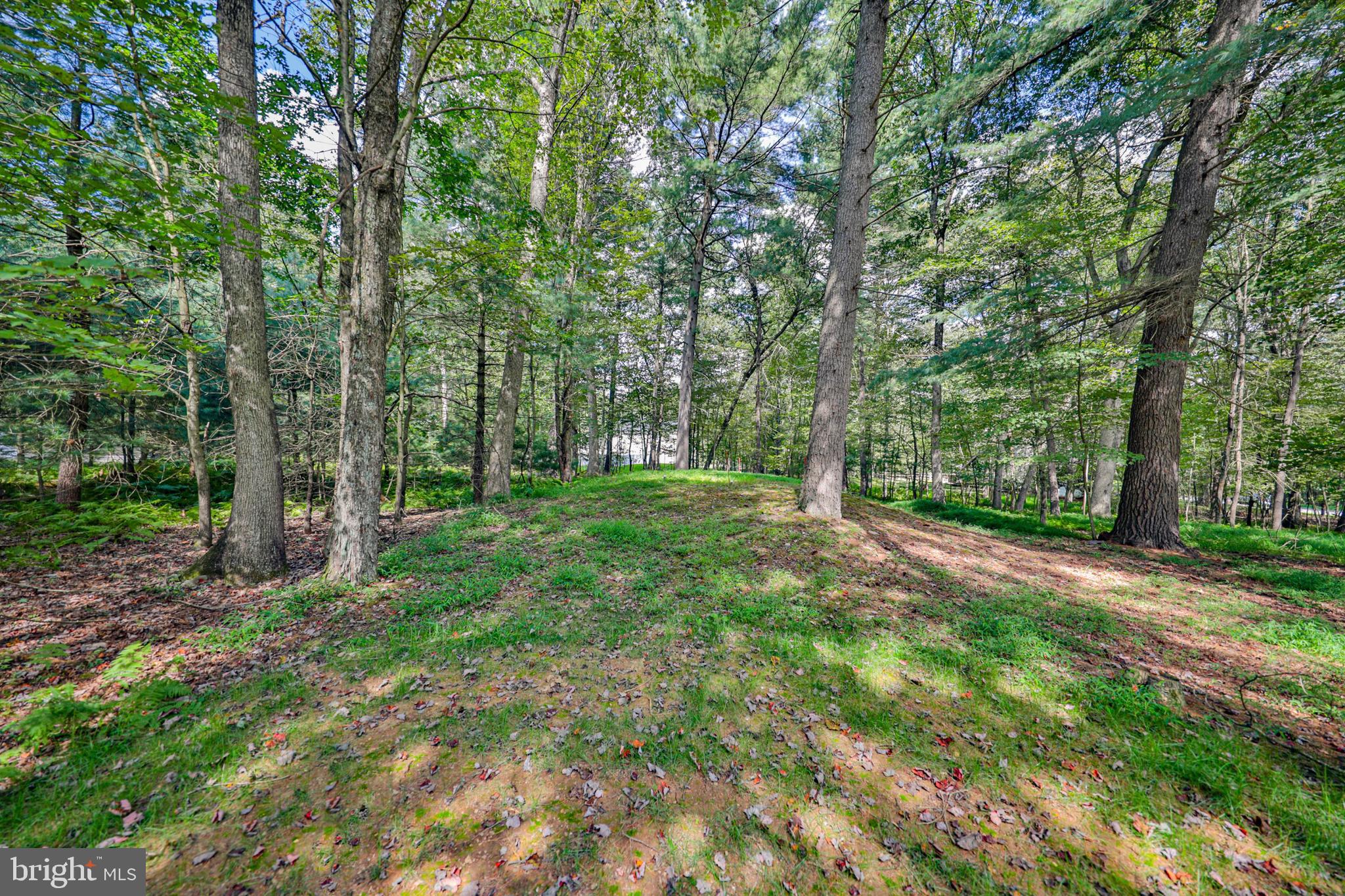 SAW MILL DEVELOPMENT - Residential