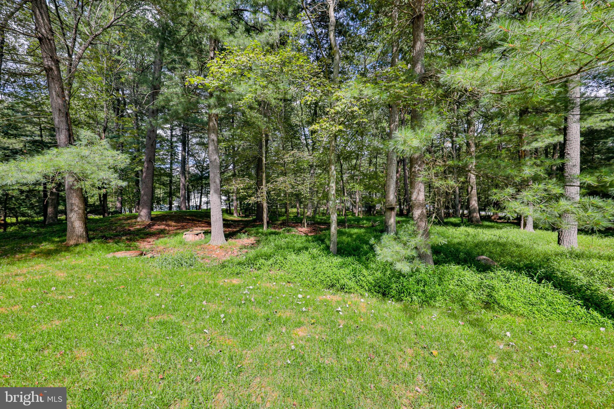 SAW MILL DEVELOPMENT - Residential