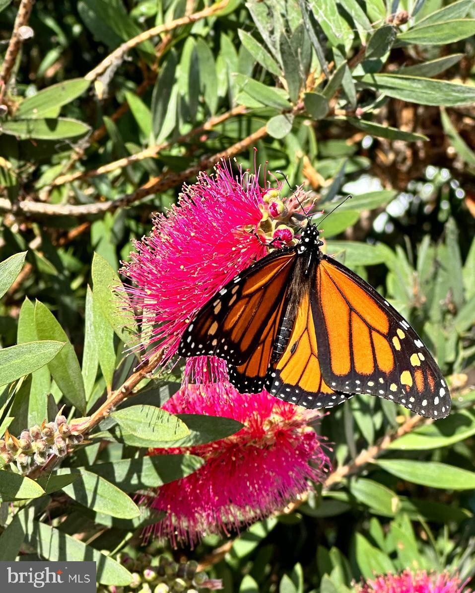 LAKEWOOD HILLS - Residential